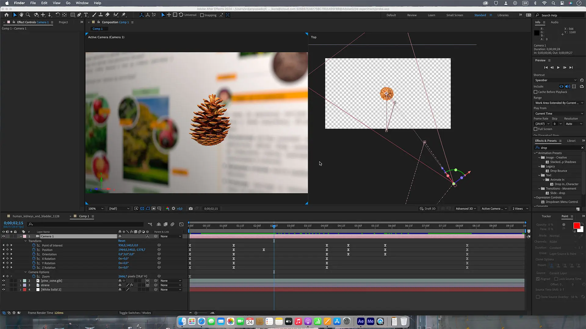 Adobe After Effect i 3D animacija